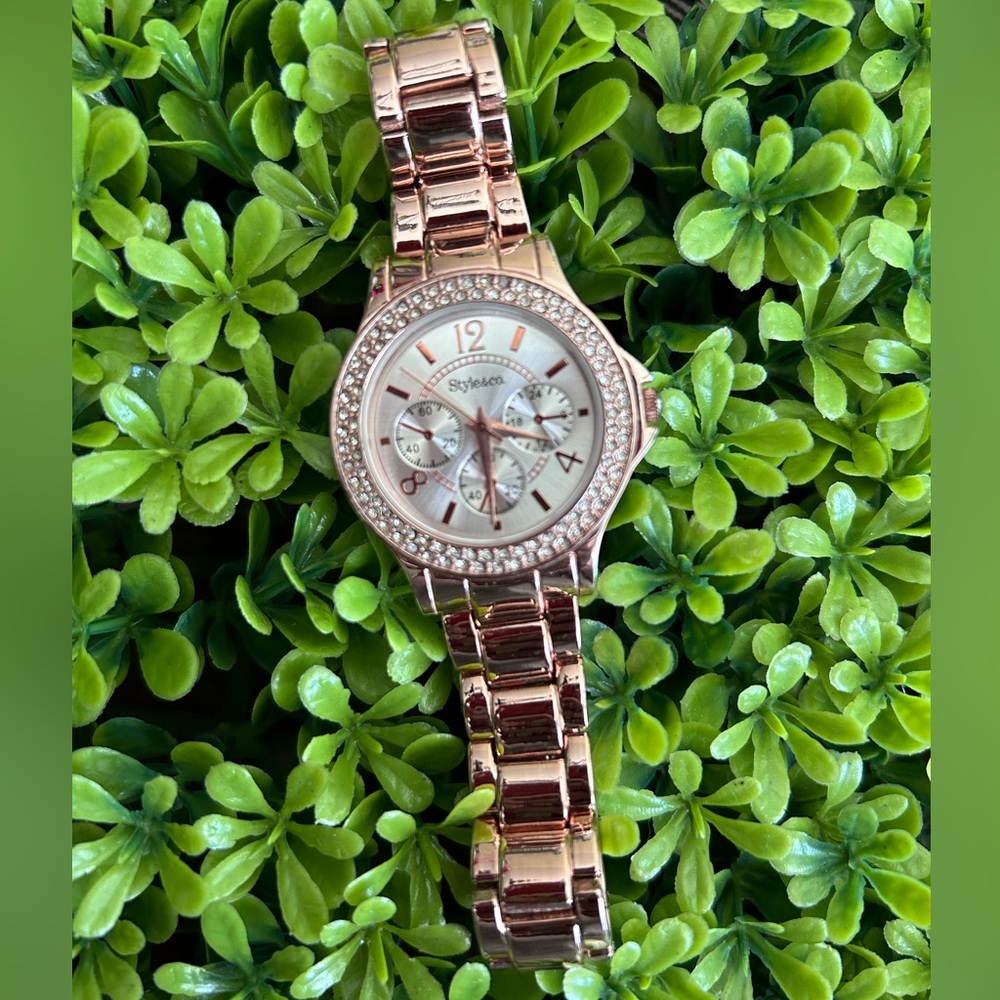 Style&co watch